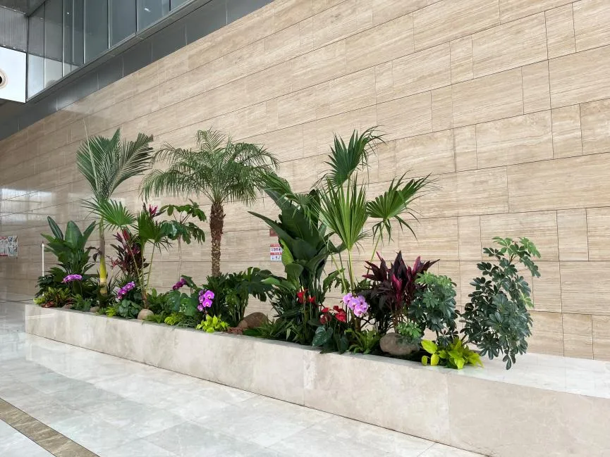 鄞州花卉租赁，优质服务领先，装点您的美好空间！